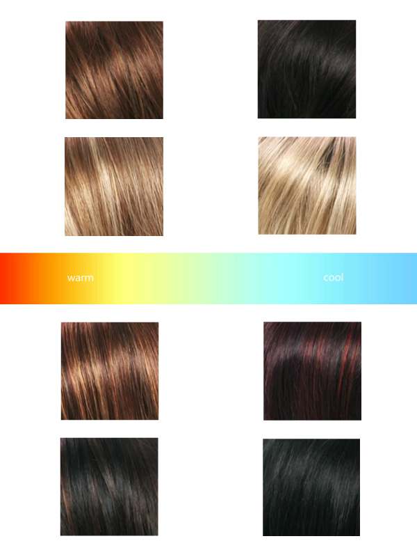 Understanding The Hair Colors